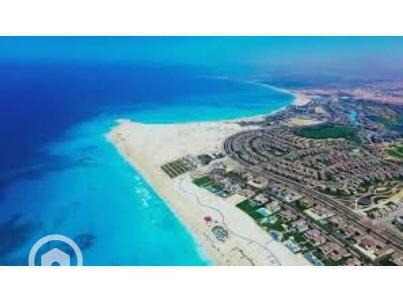 8 South Med 8. jpg