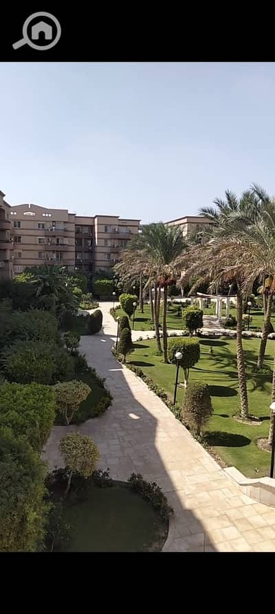 3 Bedroom Flat for Rent in New Cairo, Cairo - 1001442714. jpg
