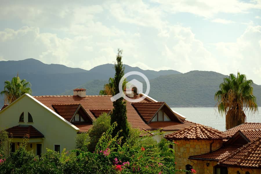 6 pexels-ozan-aldemir-2157508360-34851208. jpg