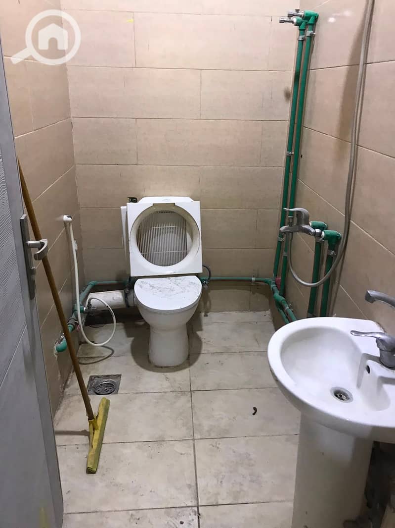 3 825019. jpg