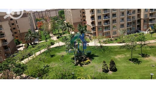 شقة 3 غرف نوم للايجار في مدينتي، القاهرة - 6a2542dd2e9551780826845. jpg