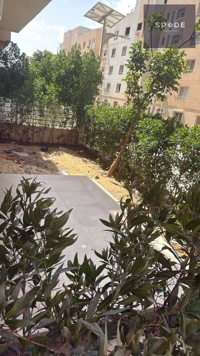 3 Bedroom Flat for Sale in New Cairo, Cairo - WhatsApp Image 2026-08-17 at 2.18. 56 PM (3). jpeg 3 Bedroom Flat for Sale in New Cairo, Cairo - WhatsApp Image 2026-08-17 at 2.18. 56 PM (3). jpeg