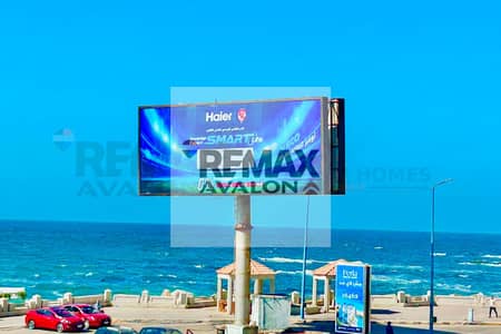 شقة 2 غرفة نوم للايجار في كليوباترا، الإسكندرية - 0. jpg شقة 2 غرفة نوم للايجار في كليوباترا، الإسكندرية - 0. jpg