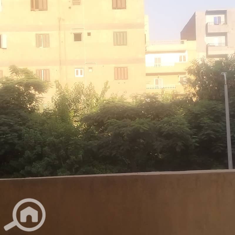10 1000498838. jpg
