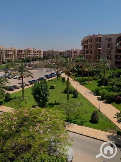 فلیٹ 2 غرفة نوم للايجار في القاهرة الجديدة، القاهرة - WhatsApp Image 2026-08-16 at 8.18. 59 PM. jpeg فلیٹ 2 غرفة نوم للايجار في القاهرة الجديدة، القاهرة - WhatsApp Image 2026-08-16 at 8.18. 59 PM. jpeg