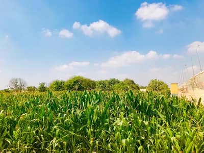 صناعي للبيع في 6 اكتوبر، الجيزة - فرصه حقيقيه - أقيم أرض مسجله شهر عقاري – مباشرة على الطريق الصحراوي صناعي للبيع في 6 اكتوبر، الجيزة - فرصه حقيقيه - أقيم أرض مسجله شهر عقاري – مباشرة على الطريق الصحراوي
