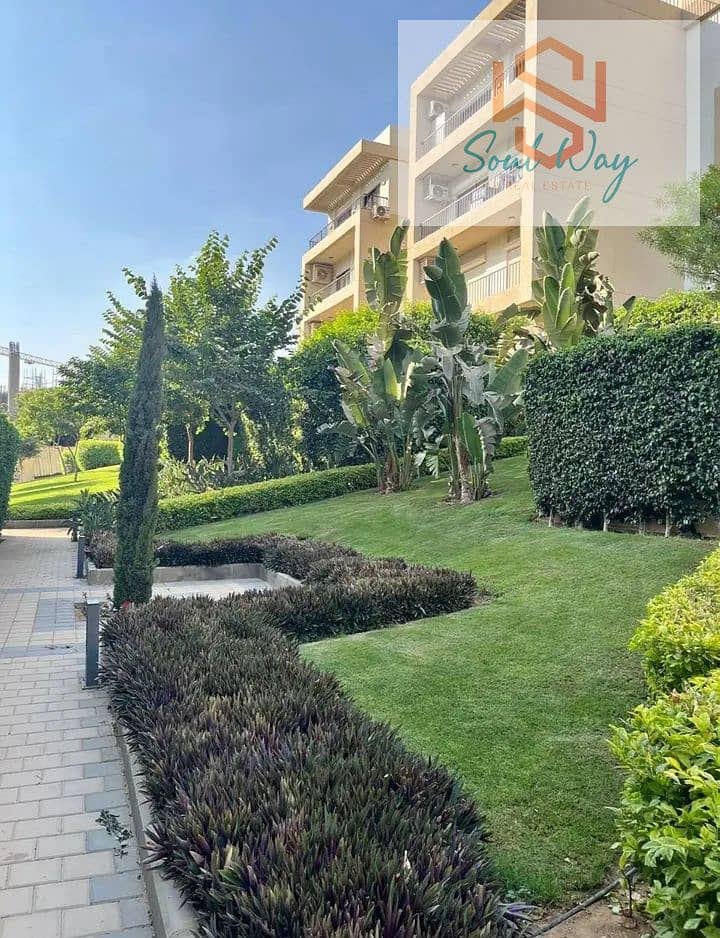3 IMG_٢٠٢٦٠٨١٧_٢٣٤٧٠٨. jpg