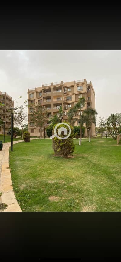 3 Bedroom Apartment for Rent in Madinaty, Cairo - IMG_6879. png 3 Bedroom Apartment for Rent in Madinaty, Cairo - IMG_6879. png