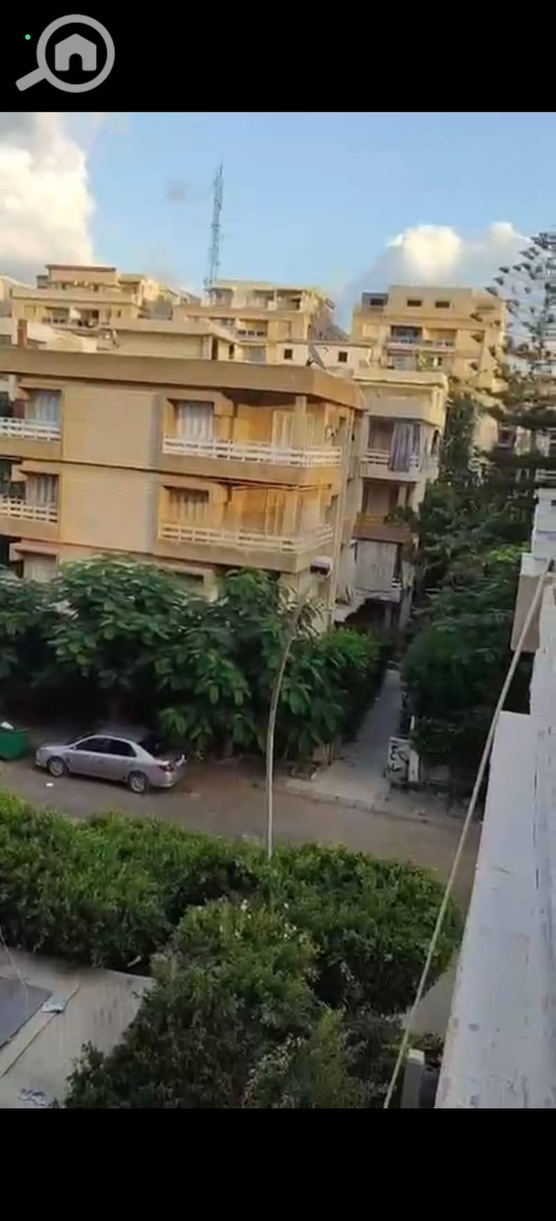 3 223715. jpg