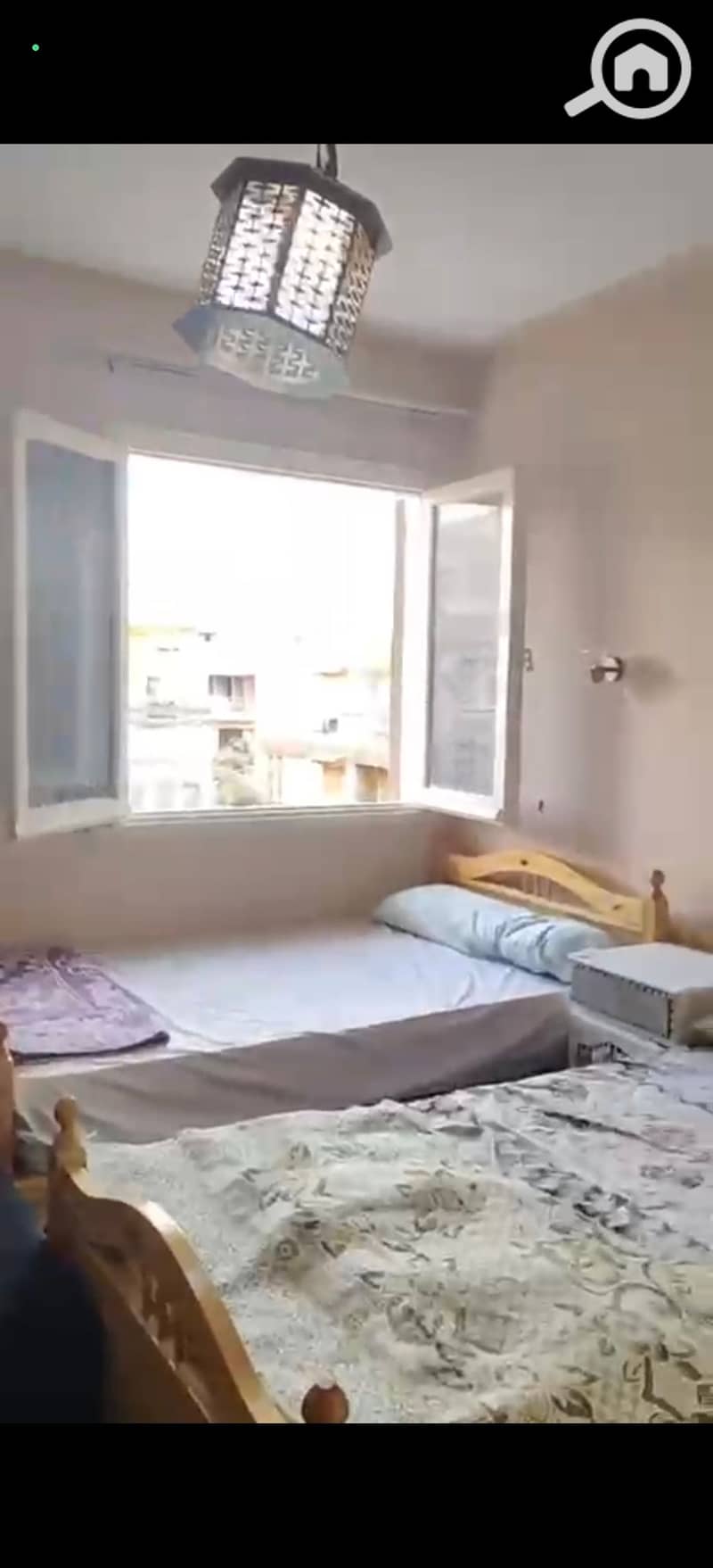 7 223719. jpg
