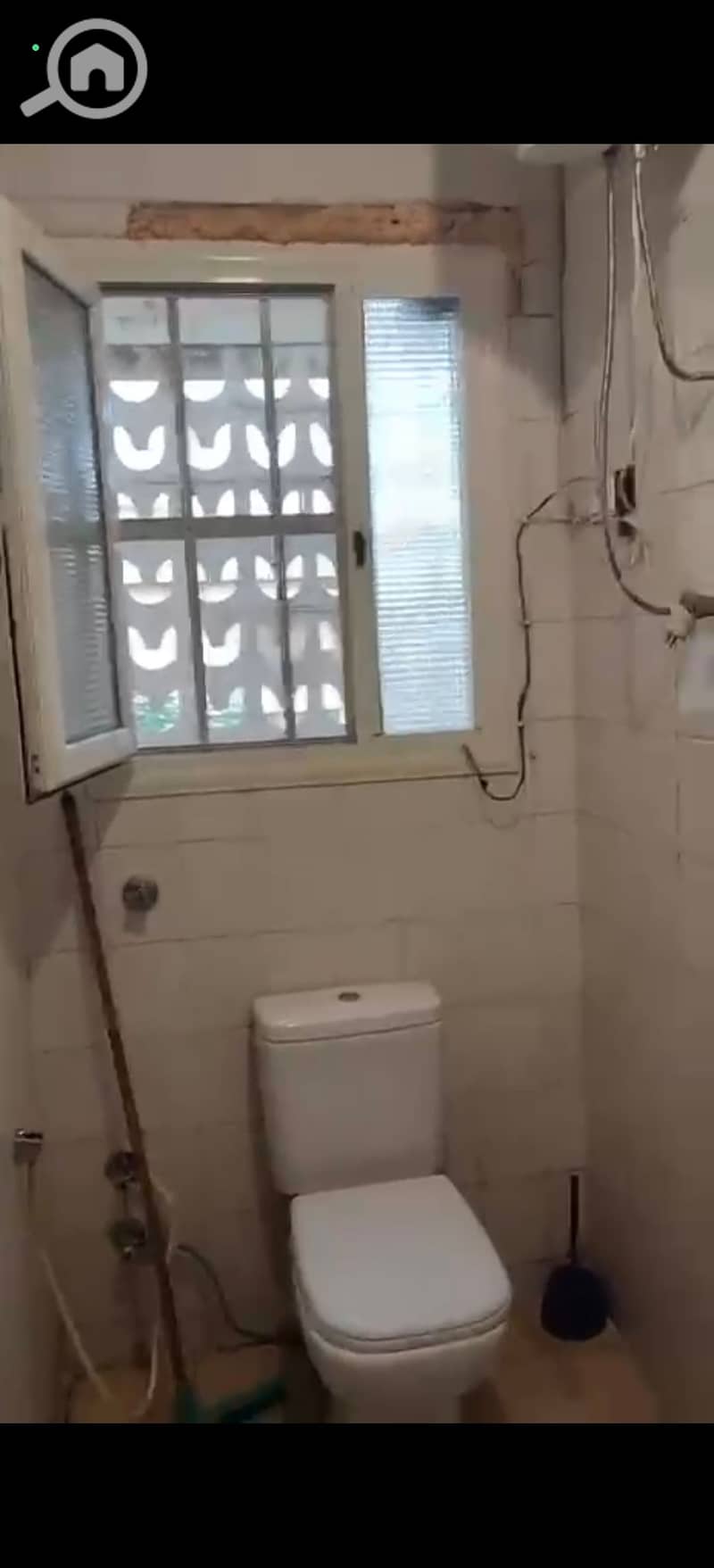 8 223718. jpg