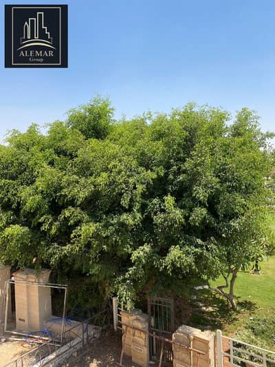 3 Bedroom Villa for Rent in Madinaty, Cairo - 1000762830. jpg