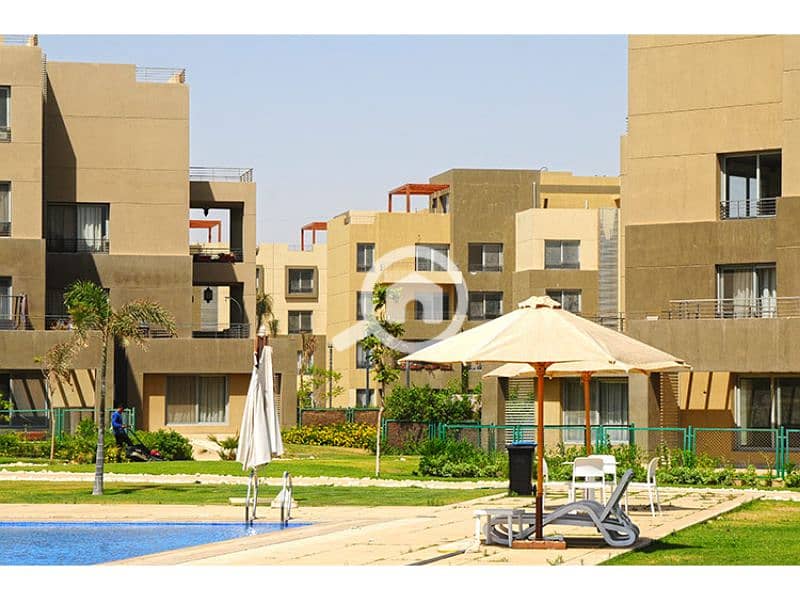 9 Palm Parks 4. jpg