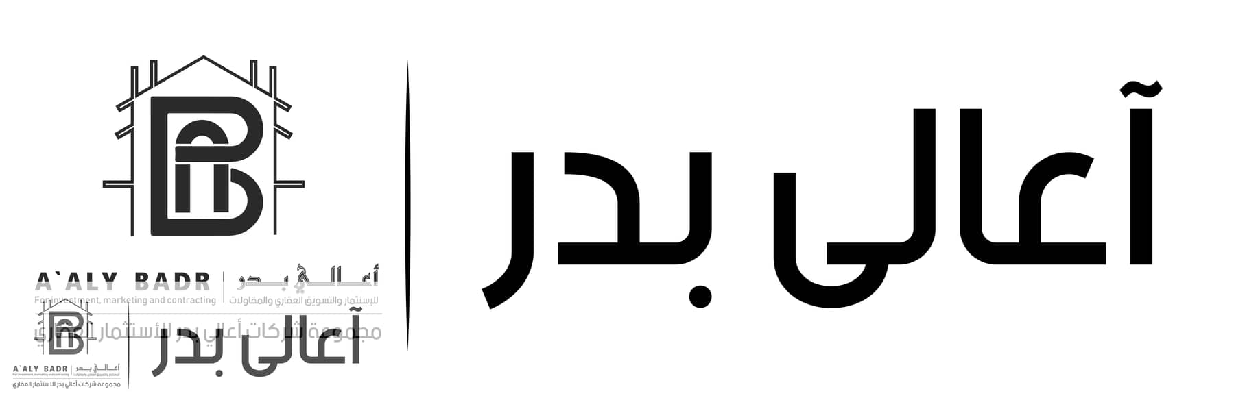 4 logo alaly badr-11. jpg