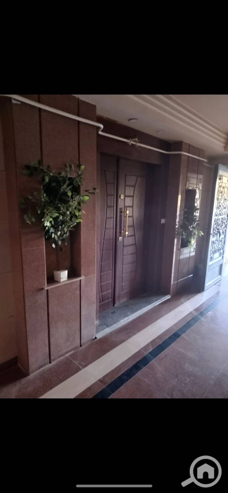 4 926593. jpg