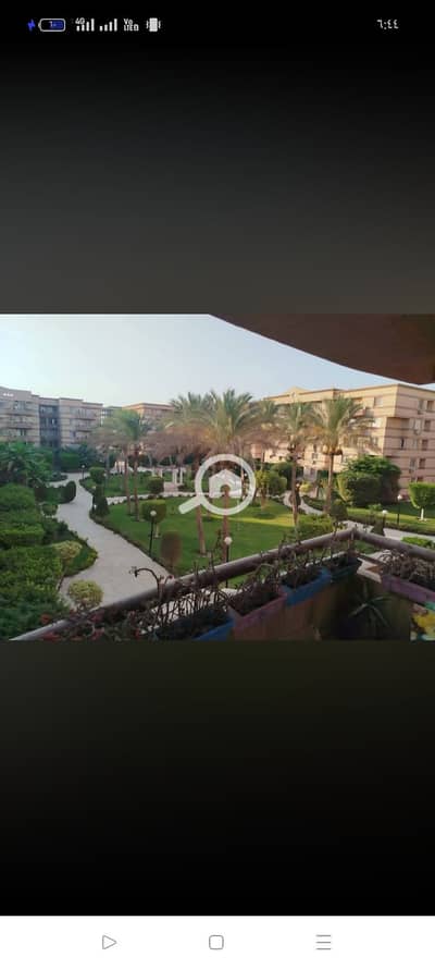 3 Bedroom Flat for Rent in New Cairo, Cairo - 1000001823. jpg 3 Bedroom Flat for Rent in New Cairo, Cairo - 1000001823. jpg
