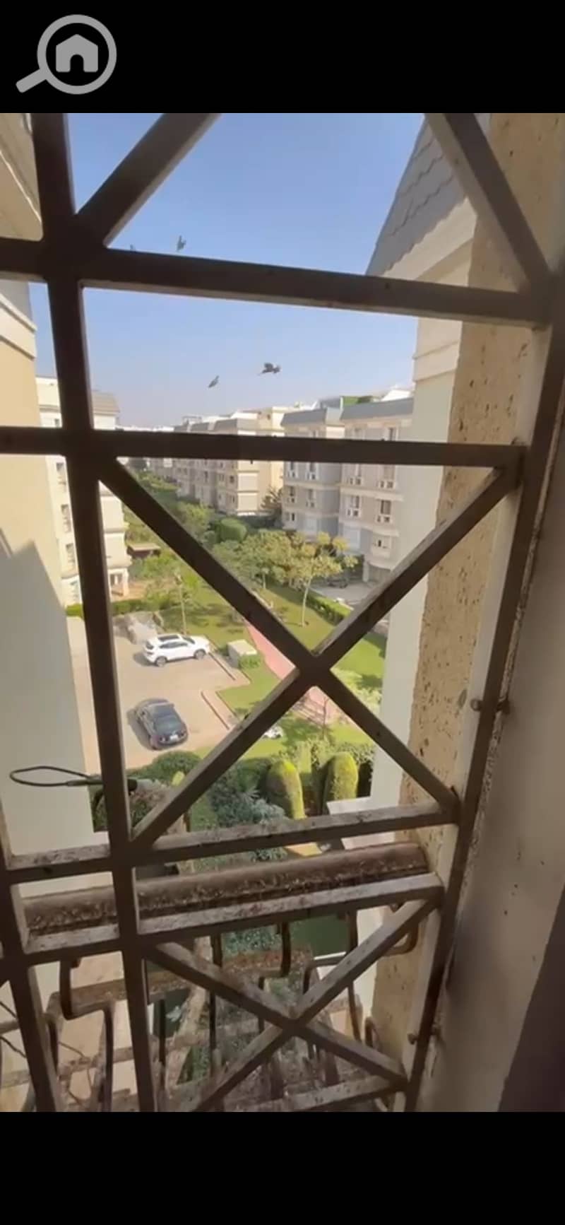 15 1000116676. jpg
