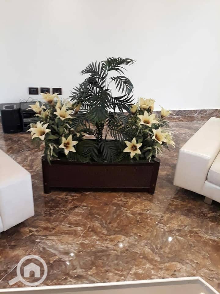 4 554480. jpg