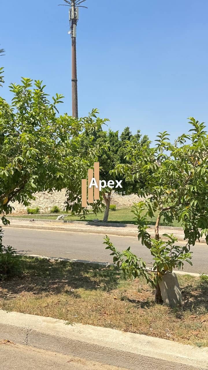 3 WhatsApp Image 2026-08-18 at 2.11. 18 PM (1). jpeg
