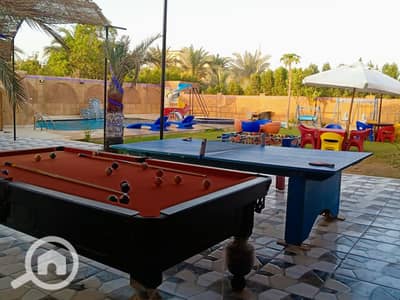 فیلا 3 غرف نوم للايجار في 6 اكتوبر، الجيزة - 1000309172. jpg فیلا 3 غرف نوم للايجار في 6 اكتوبر، الجيزة - 1000309172. jpg