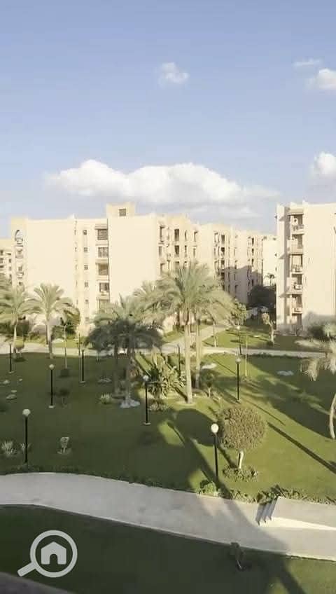 1001445098. jpg 1001445098. jpg