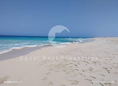 فیلا 4 غرف نوم للبيع في الساحل الشمالي، مطروح - 6. jpeg فیلا 4 غرف نوم للبيع في الساحل الشمالي، مطروح - 6. jpeg