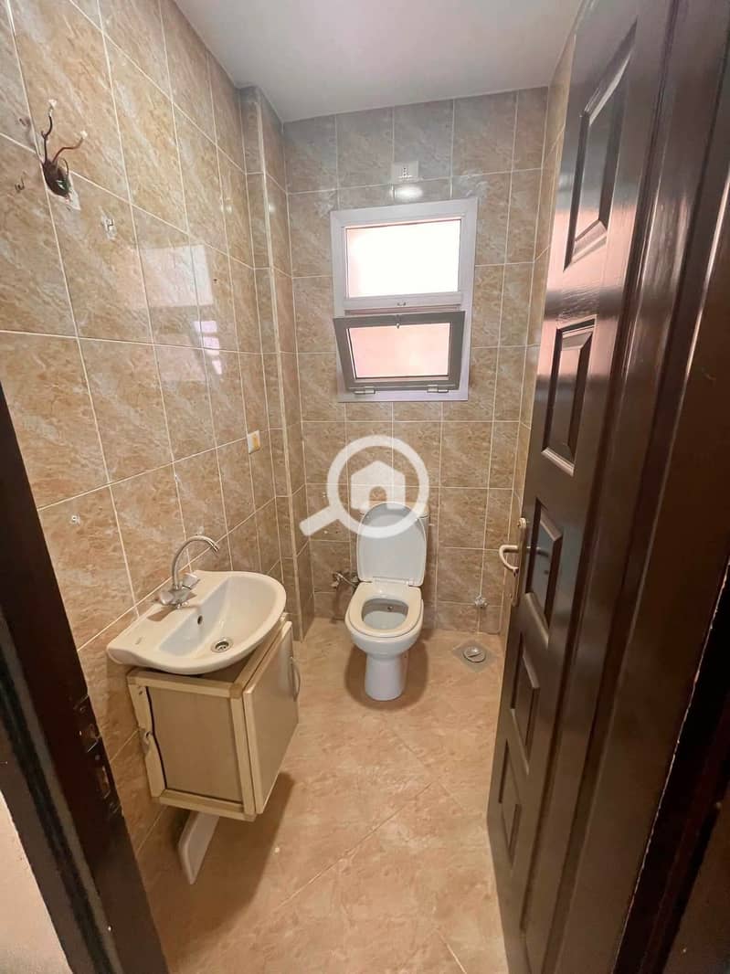 4 554581. jpg