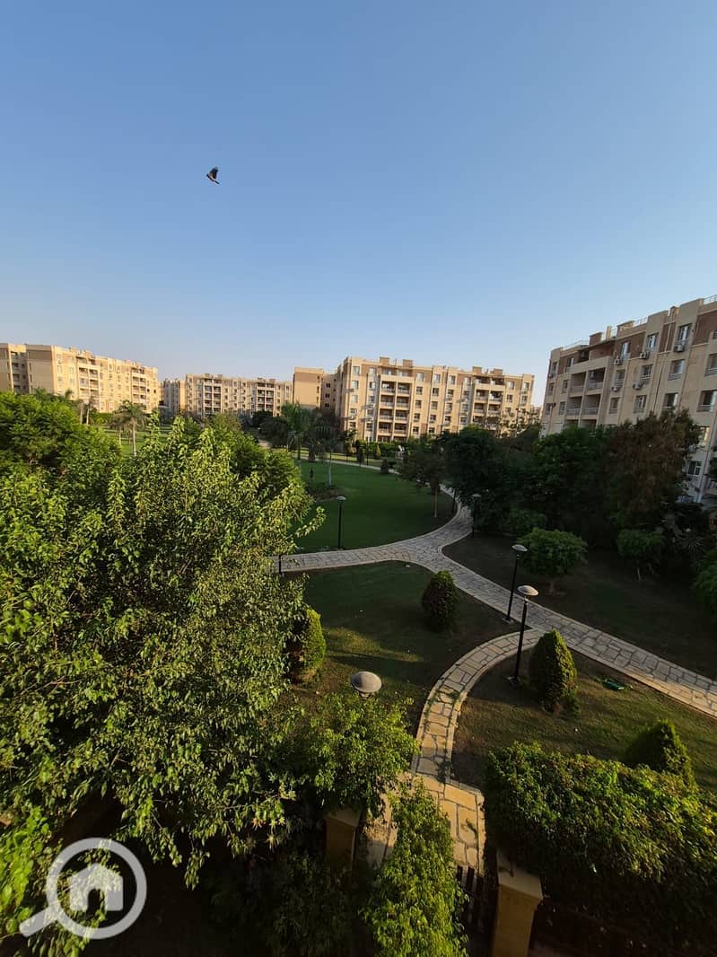 8 554571. jpg