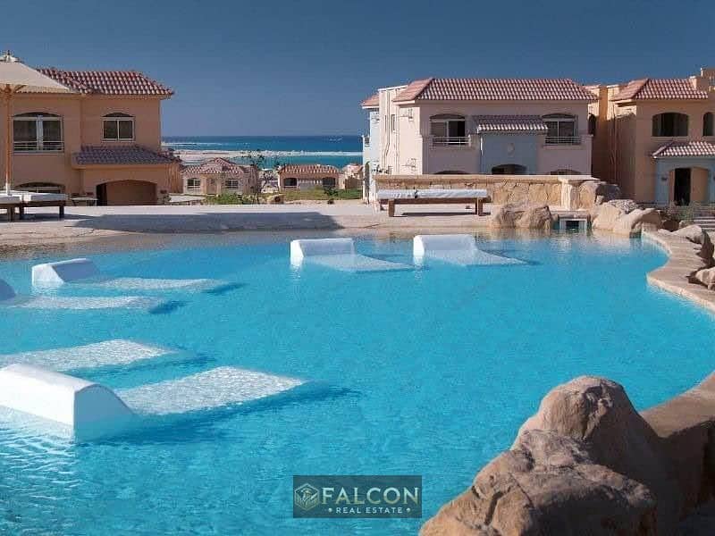 7 445241922_481629484302612_705780535831426972_n. jpg