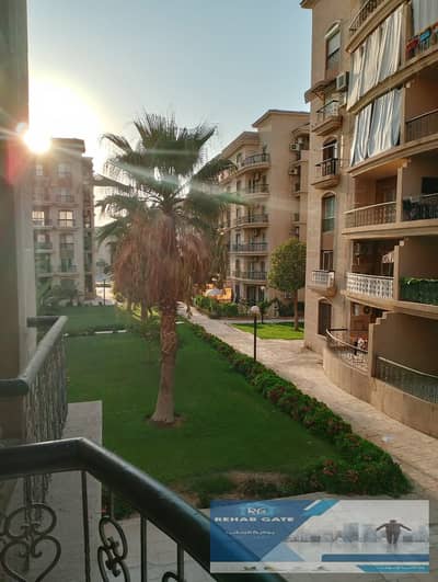 فلیٹ 3 غرف نوم للايجار في القاهرة الجديدة، القاهرة - WhatsApp Image 2026-08-18 at 2.57. 41 PM. jpeg