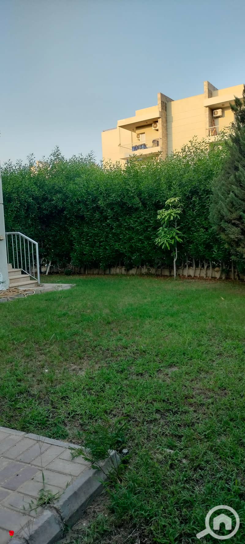 8 1001260951. jpg