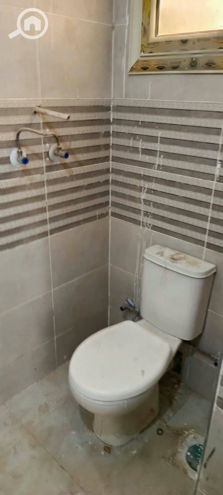 9 1000078180. jpg