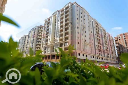 3 Bedroom Apartment for Sale in Smoha, Alexandria - WhatsApp Image 2026-04-09 at 3.01. 21 PM. jpg