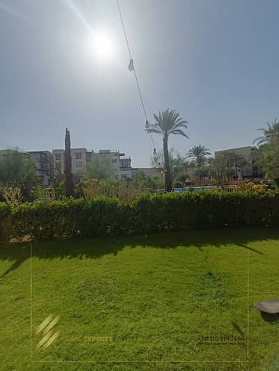 دوبلكس 3 غرف نوم للايجار في المقطم، القاهرة - f380b8c2-c392-4816-9845-9e17f4964202. jpg دوبلكس 3 غرف نوم للايجار في المقطم، القاهرة - f380b8c2-c392-4816-9845-9e17f4964202. jpg