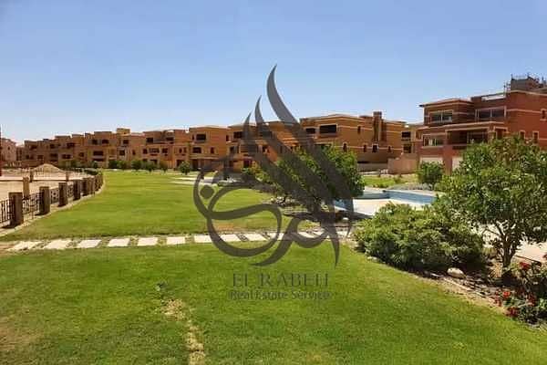 8 8. jpg