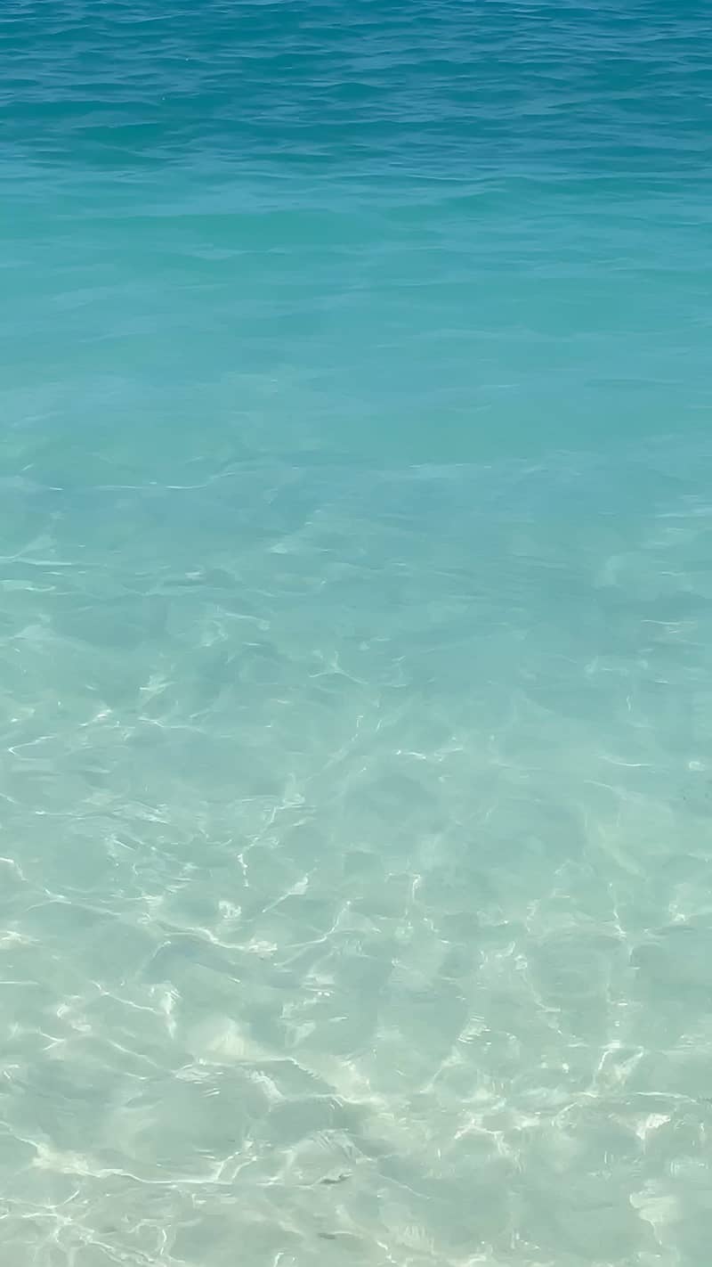 7 532280219_17909932095192611_1231957701085154401_n. jpg