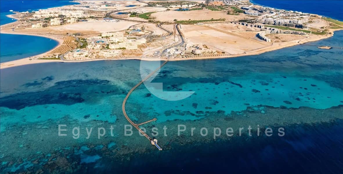 4 2010adc0-afd3-4755-8e49-eb5c15cbb535. jpg