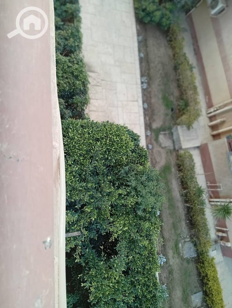4 WhatsApp Image 2026-08-17 at 3.44. 34 PM. jpeg