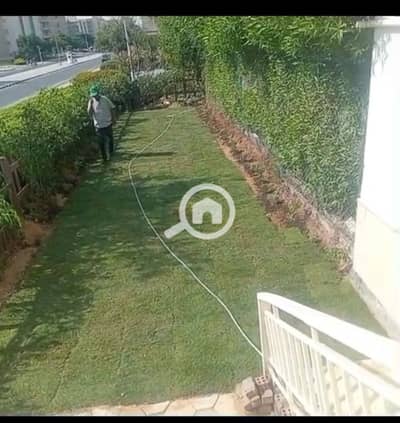 شقة 3 غرف نوم للايجار في مدينة الشروق، القاهرة - IMG_5494. jpg شقة 3 غرف نوم للايجار في مدينة الشروق، القاهرة - IMG_5494. jpg
