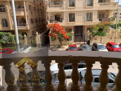 3 Bedroom Flat for Rent in New Cairo, Cairo - 337042. jpg 3 Bedroom Flat for Rent in New Cairo, Cairo - 337042. jpg