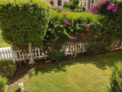 2 Bedroom Apartment for Sale in New Cairo, Cairo - WhatsApp Image 2026-08-17 at 3.24. 52 PM (1). jpg