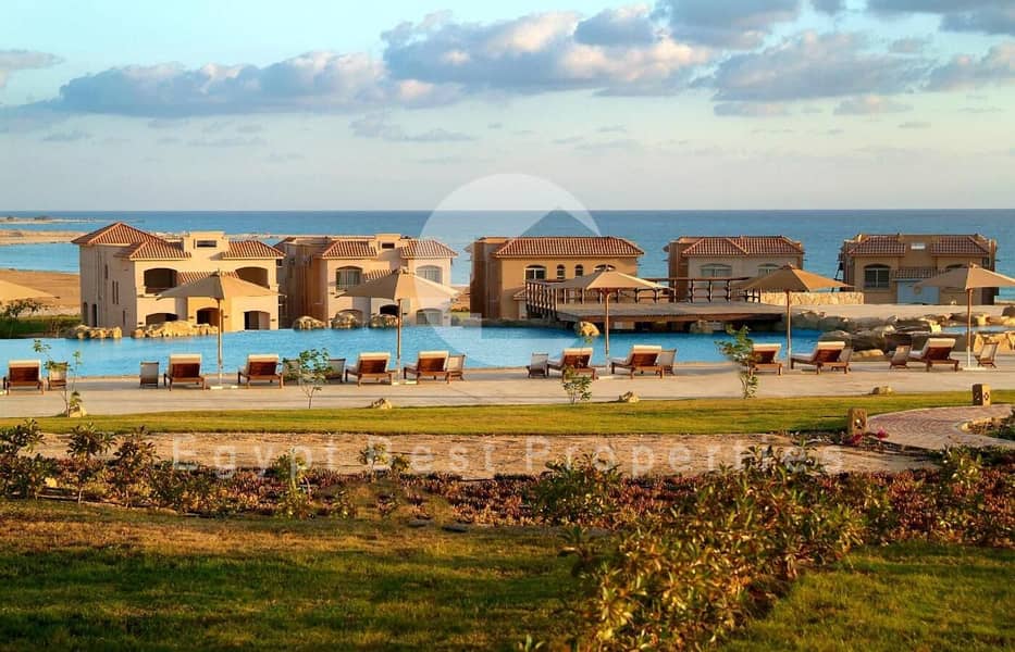 12 67a40585-372f-4bb5-95f5-e7c739a95949. jpg