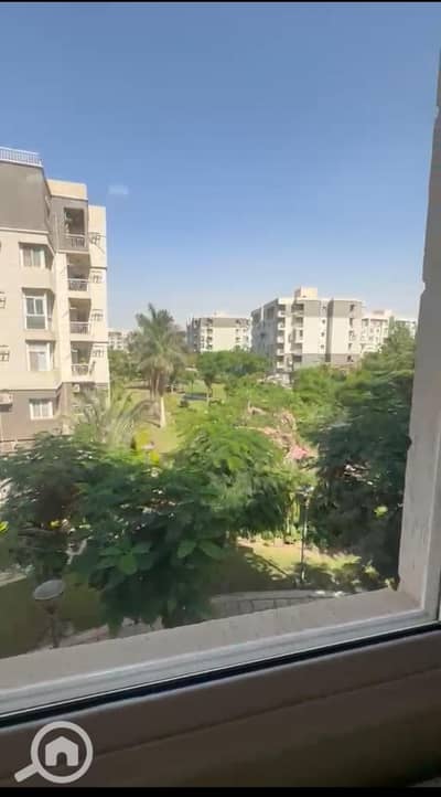 3 Bedroom Apartment for Rent in Madinaty, Cairo - 1000728712. jpg 3 Bedroom Apartment for Rent in Madinaty, Cairo - 1000728712. jpg