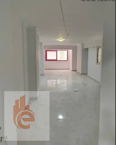 Office for Rent in Azarita, Alexandria - همهتمخ. png Office for Rent in Azarita, Alexandria - همهتمخ. png