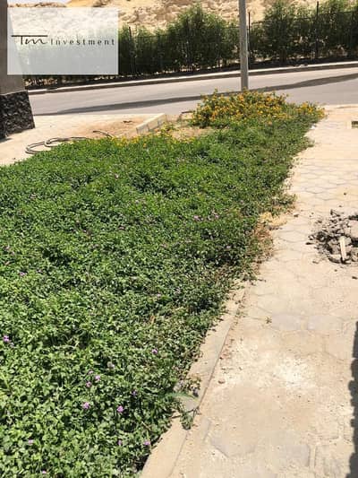فلیٹ 3 غرف نوم للبيع في القاهرة الجديدة، القاهرة - WhatsApp Image 2026-08-16 at 4.46. 23 PM (3). jpeg فلیٹ 3 غرف نوم للبيع في القاهرة الجديدة، القاهرة - WhatsApp Image 2026-08-16 at 4.46. 23 PM (3). jpeg