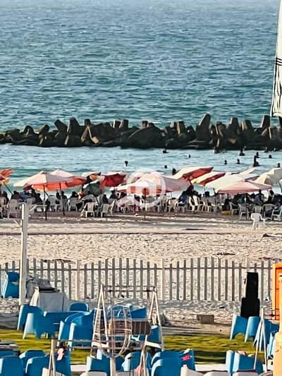 شقة 2 غرفة نوم للبيع في النخيل، الإسكندرية - IMG_3400. jpg شقة 2 غرفة نوم للبيع في النخيل، الإسكندرية - IMG_3400. jpg