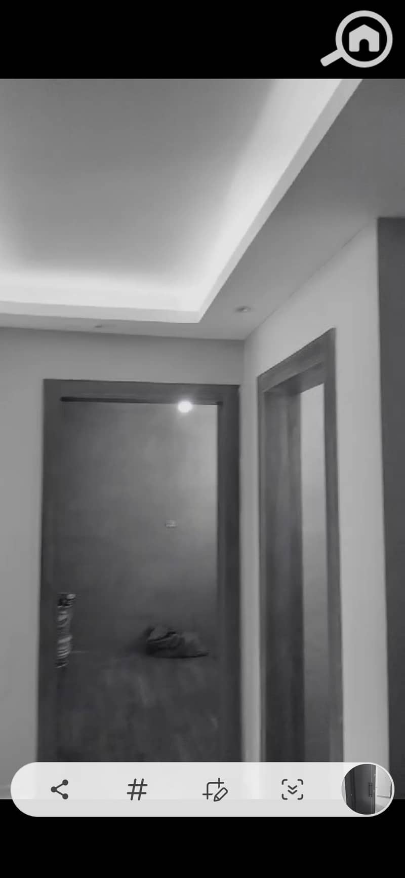 3 1001541069. jpg