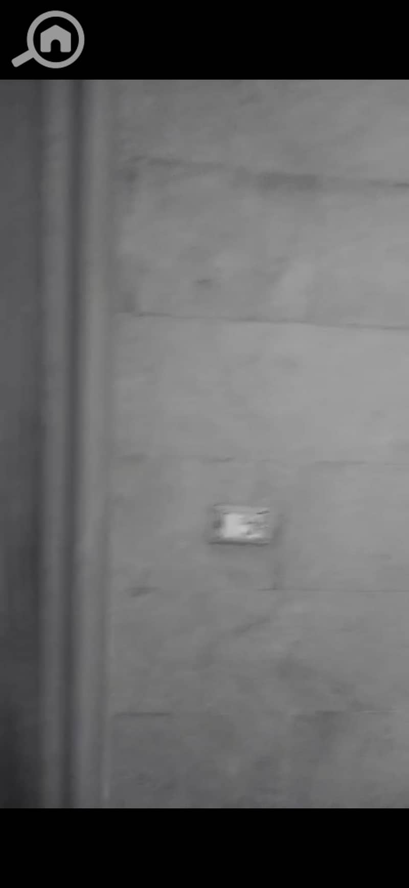 4 1001541072. jpg
