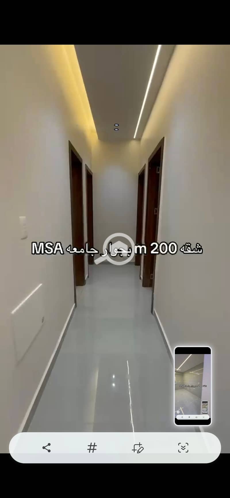 5 31146. jpg