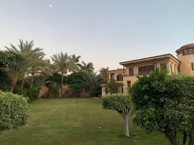 فیلا 3 غرف نوم للايجار في العامرية، الإسكندرية - مسطح تجاري مطاعم وكافيهات وقاعات افراح والحفلات وأعياد الميلاد فیلا 3 غرف نوم للايجار في العامرية، الإسكندرية - مسطح تجاري مطاعم وكافيهات وقاعات افراح والحفلات وأعياد الميلاد